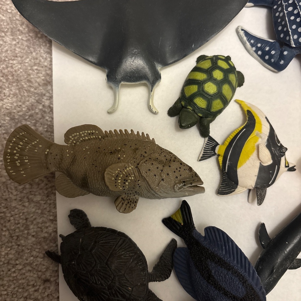 Sea creature bundle - Picture 5 of 5